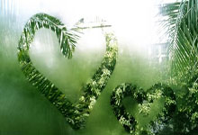 质疑库卡战术便是不懂球？鲁能输球原因正在他.