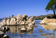 IG队长、LOL全球总决赛冠军Rookie拿中国绿卡，已在中国效力10年.